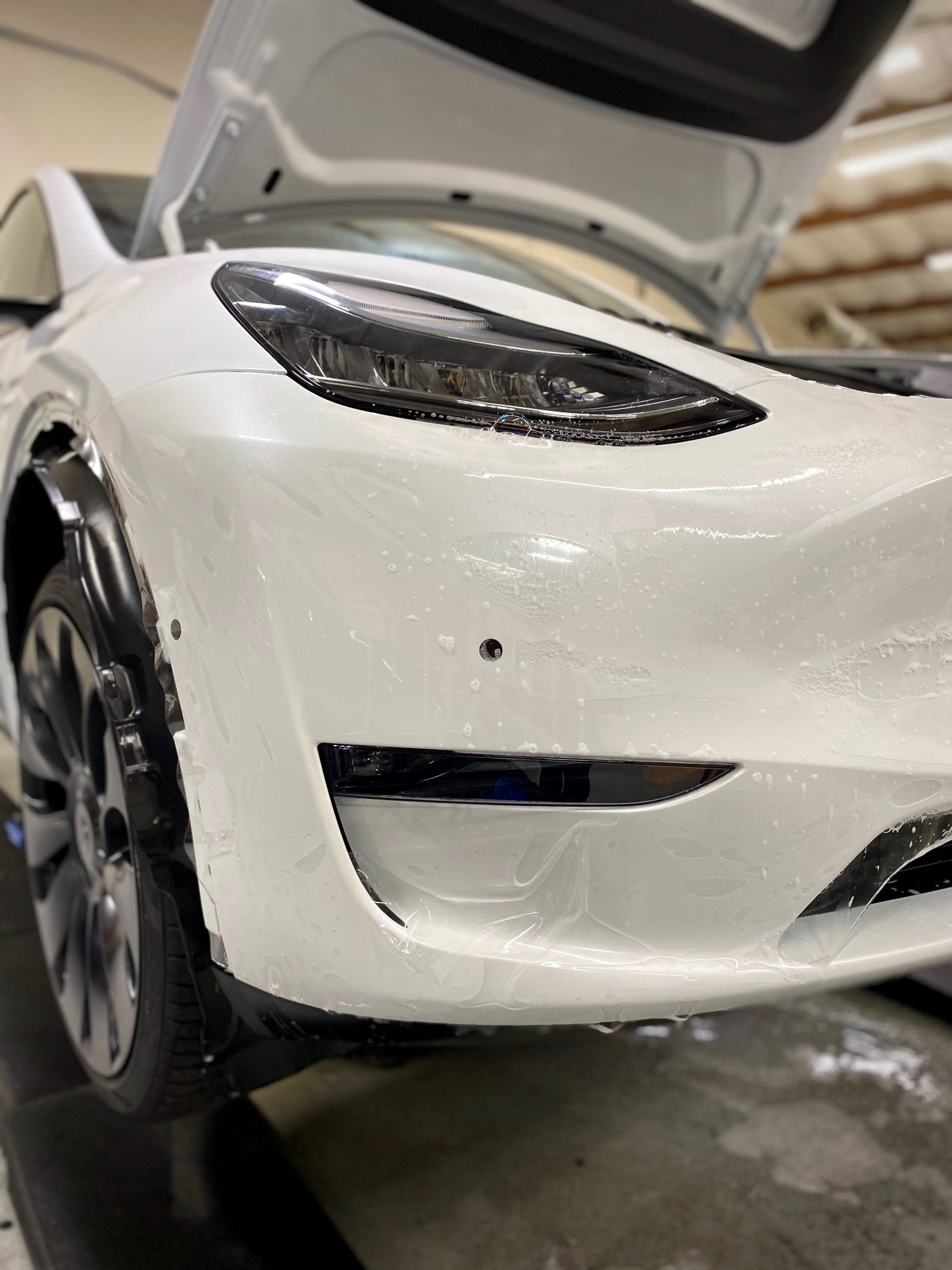2020 Tesla Model Y Pearl White Multi-Coat  (Appearance Solutions-Sacramento,CA)~15.JPG