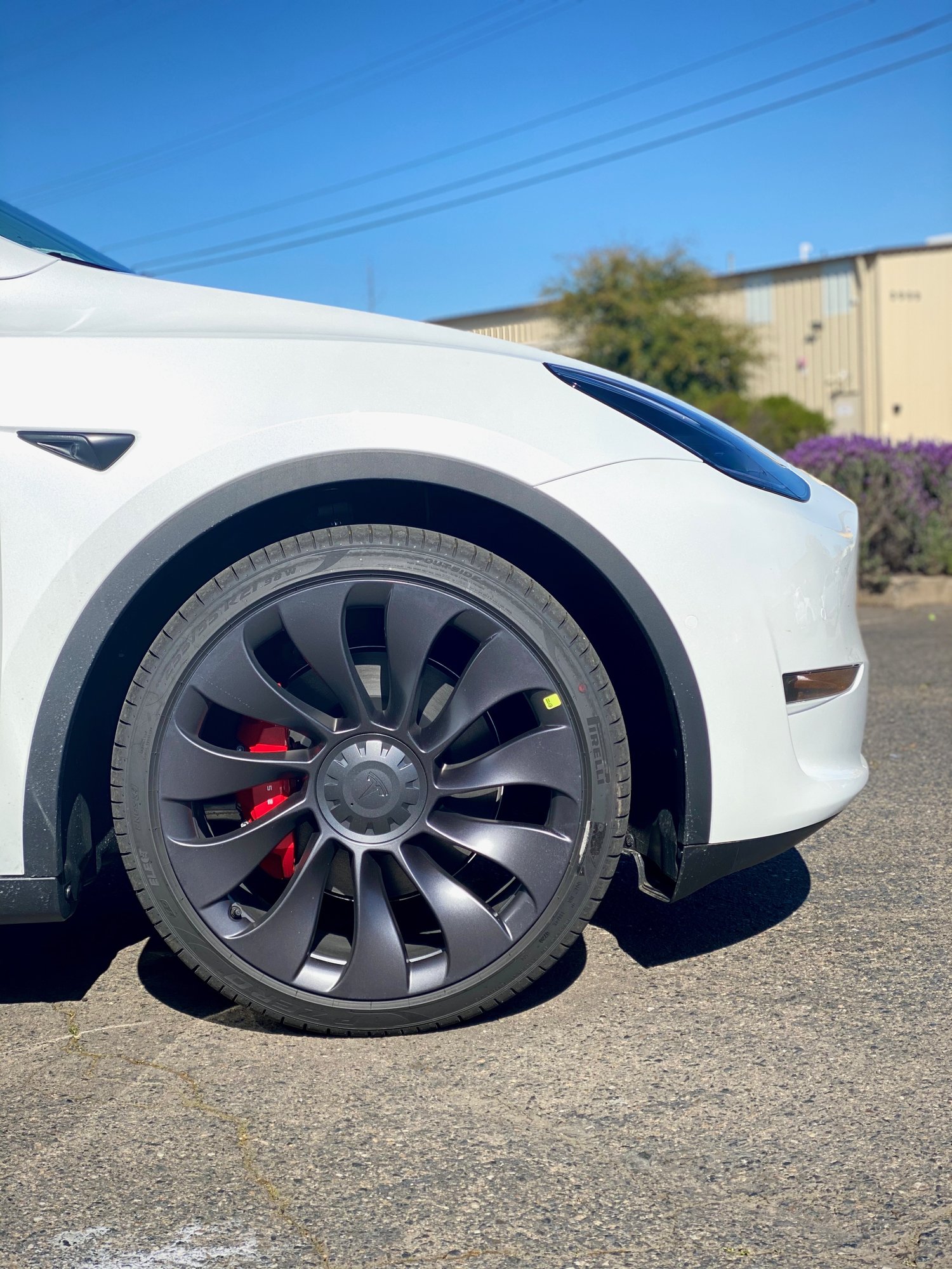 2020 Tesla Model Y Pearl White Multi-Coat  (Appearance Solutions-Sacramento,CA)~9.JPG