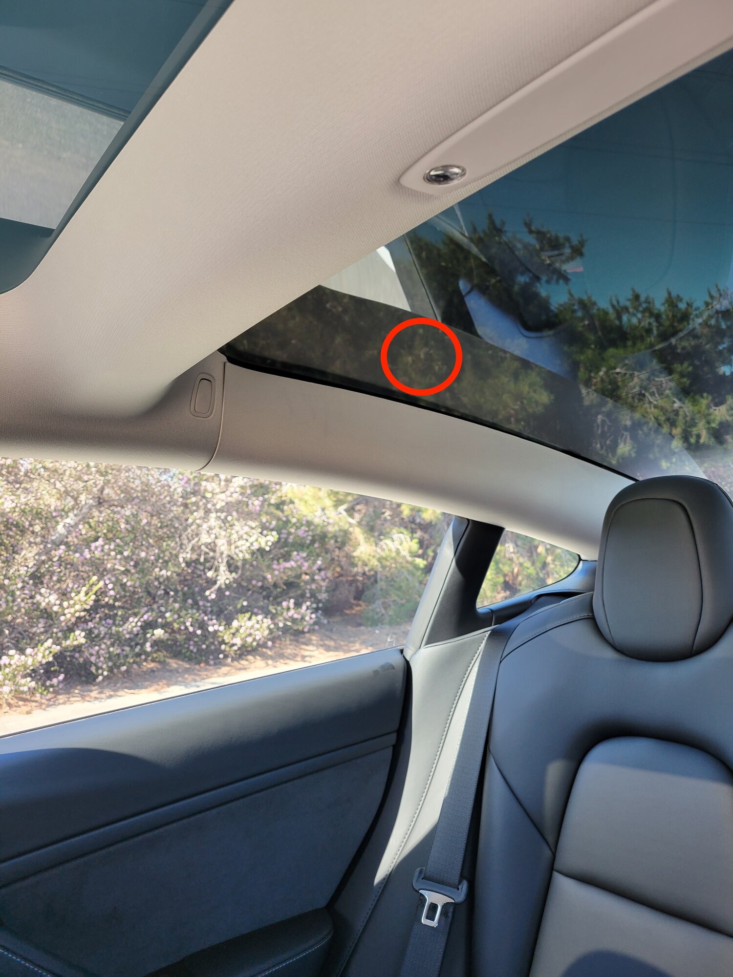 Ways To Fix a Bad Window Tinting Job On Your Vehicle