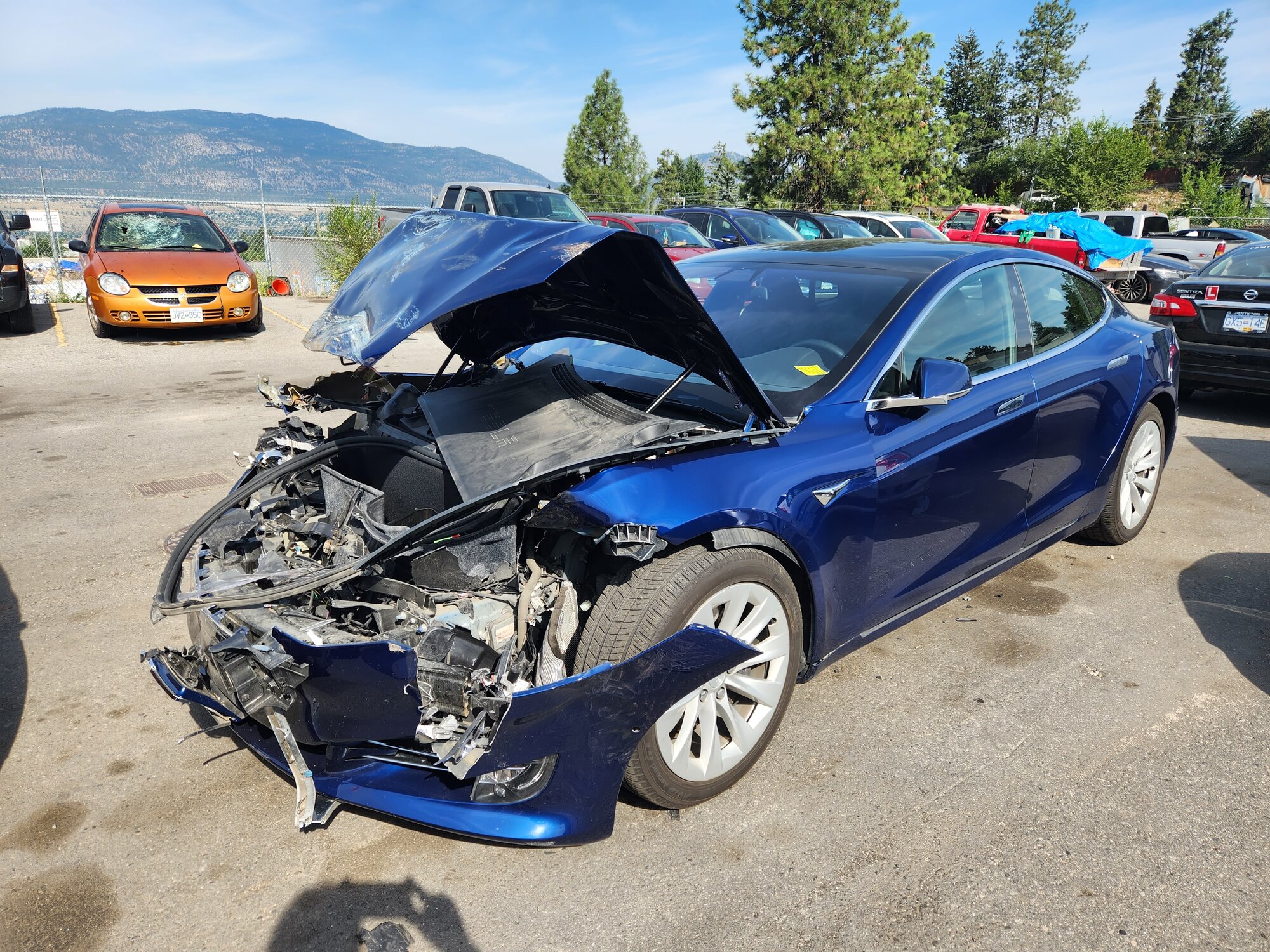 2023-08-20-Tesla-crash.jpg