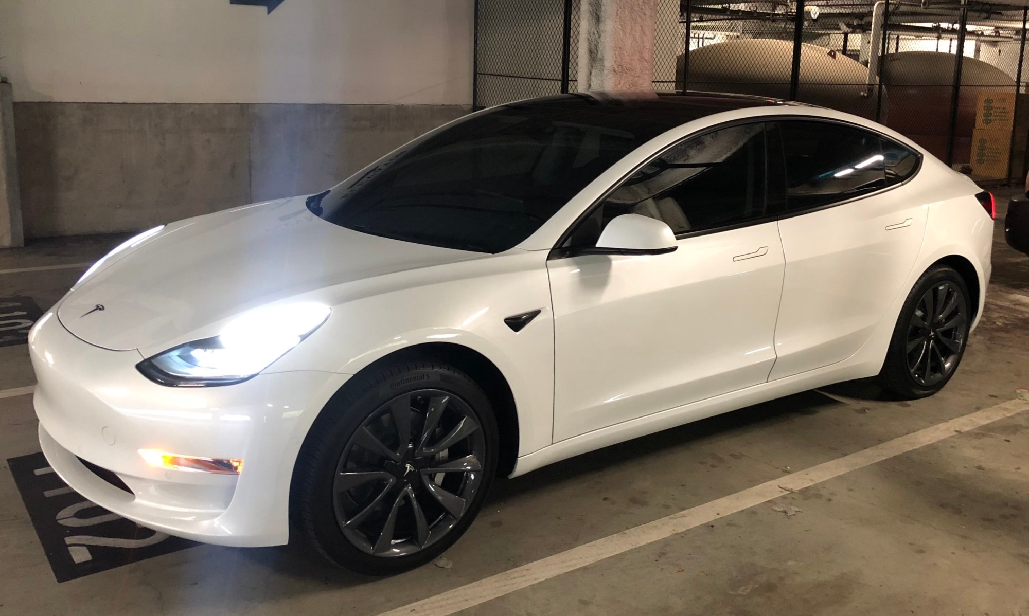 White-Out door handles : r/TeslaModelY