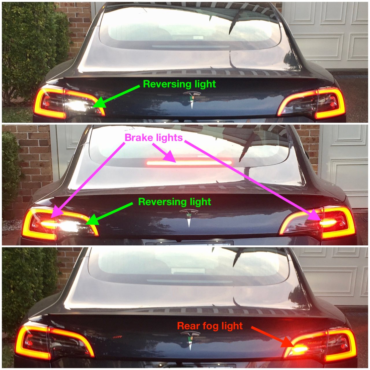 Reversing and rear fog lights on the Model 3 | Tesla Motors Club
