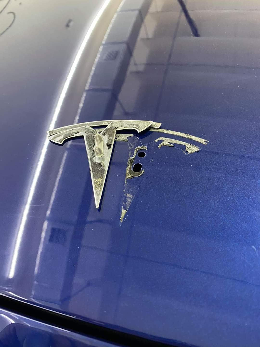 Vendor - Want to remove the Model Y emblems?Think again.