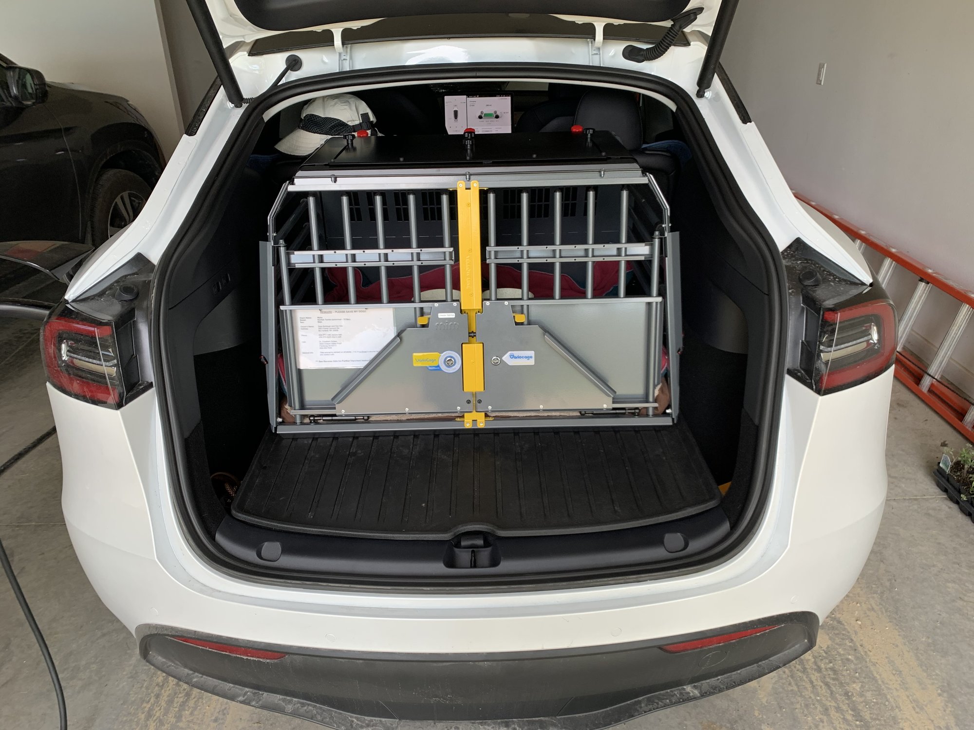 Dog owners -- anyone have a VarioCage in the cargo space? | Tesla Motors  Club