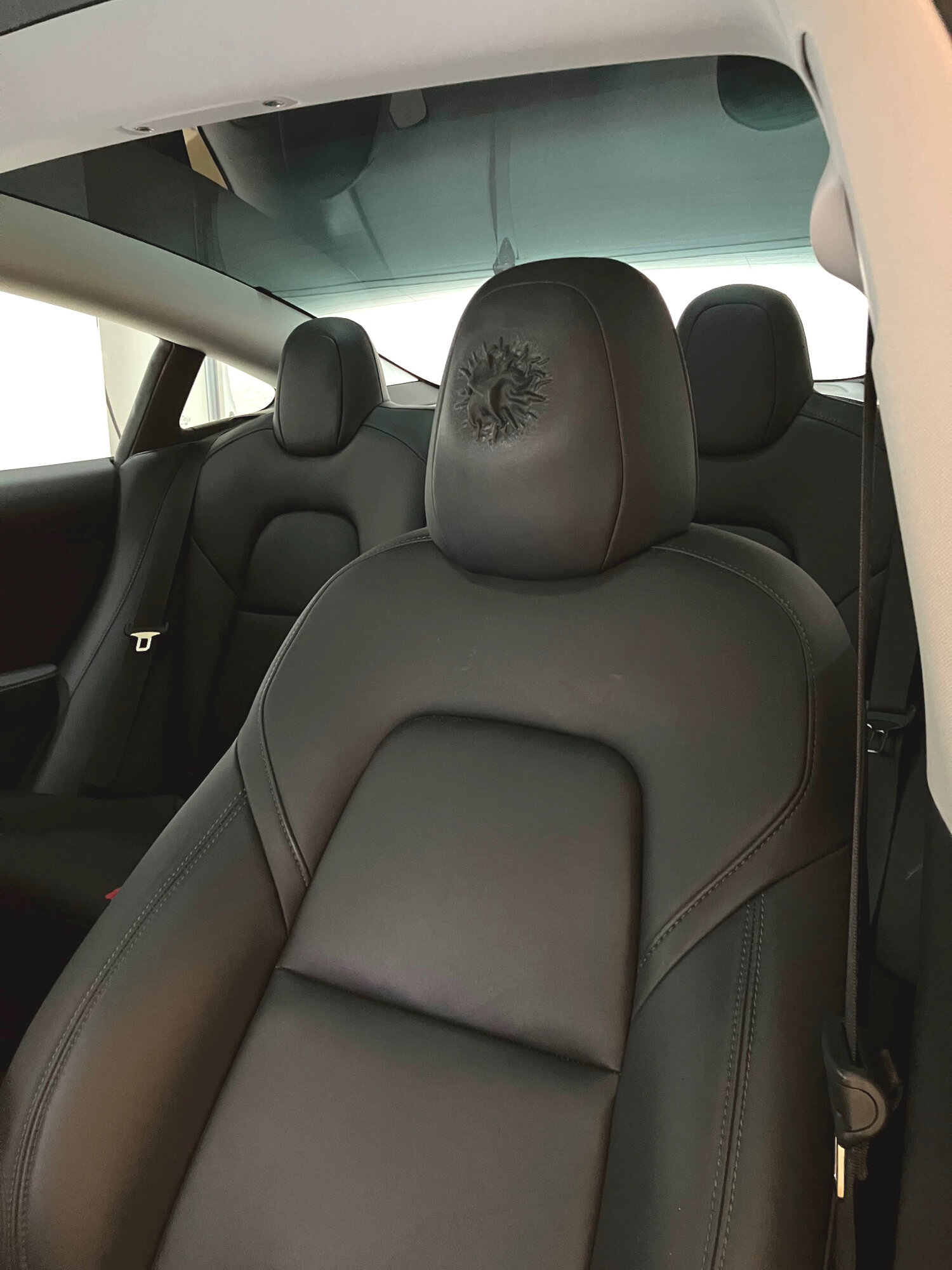 Bubble in headrest, Tesla might be caused by interior cleaner/conditioner, Page 3