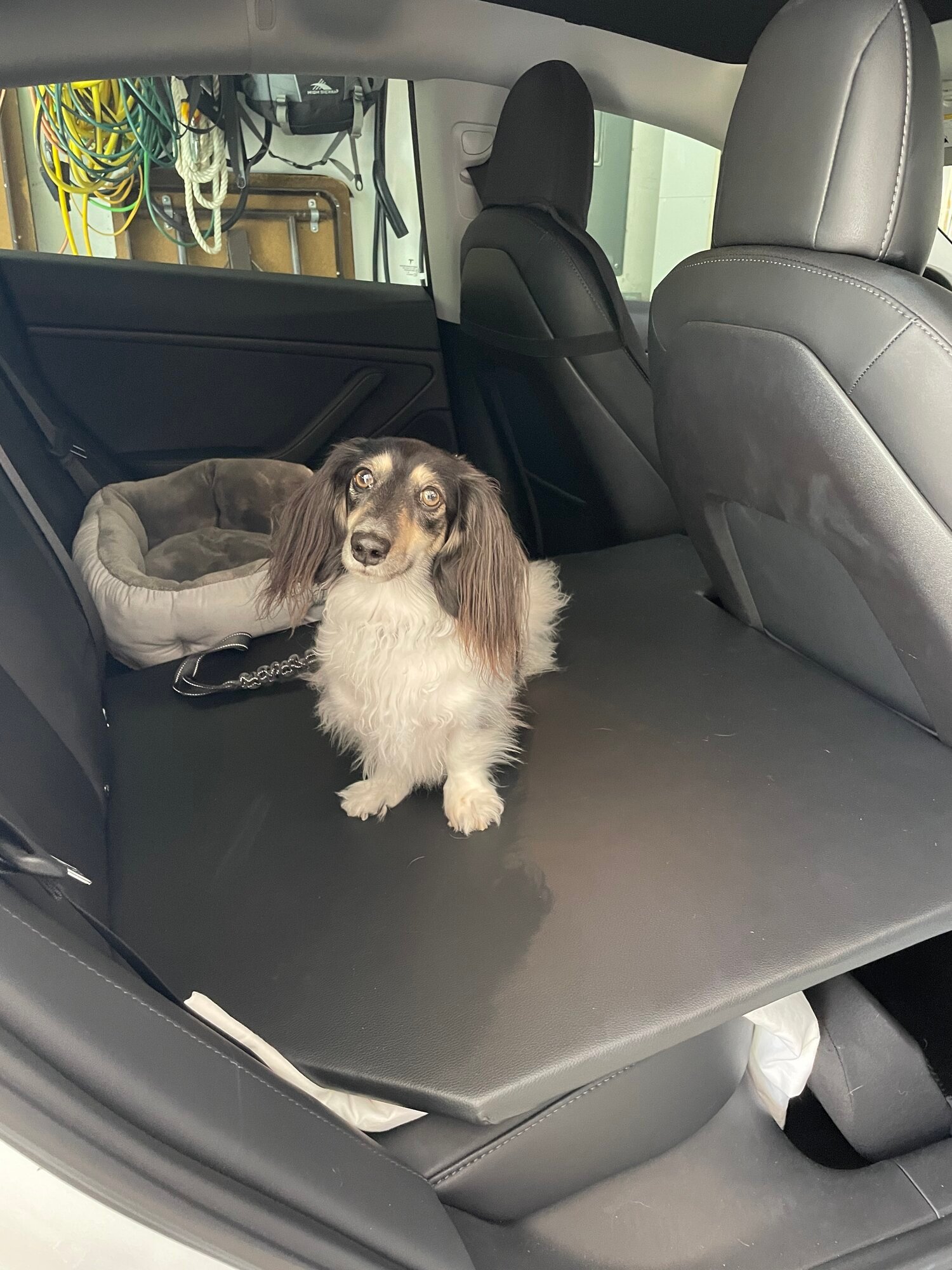Homemade center console/dog seat