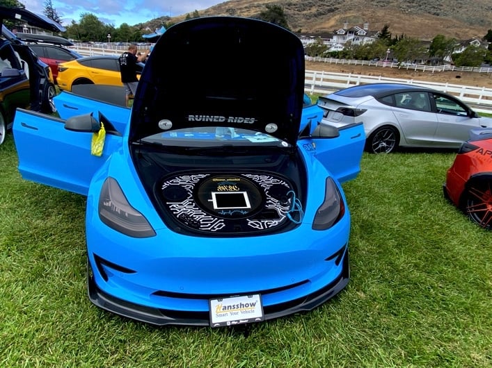 a blue trunk-0011.jpg