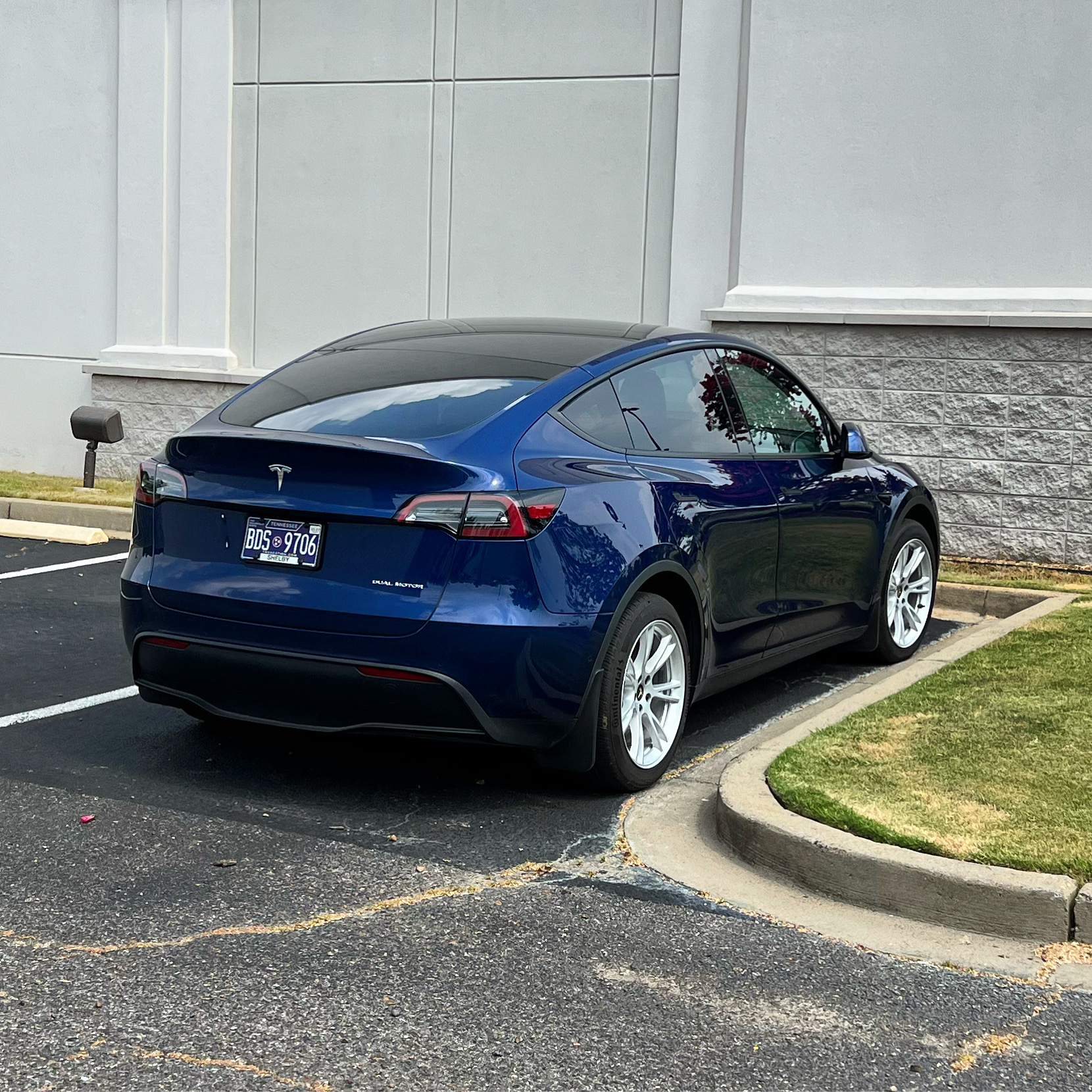 Model Y Accessories, Tasmanian Floor Mat Set (5-seater), Rear Seat Trash  Container, Under Seat Storage, Cup Holder Insert, Pick Up in Memphis.