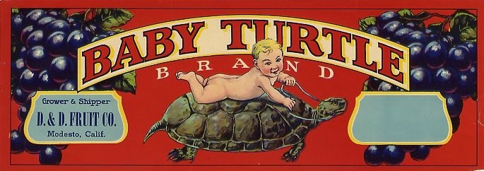 baby turtle brand.jpg