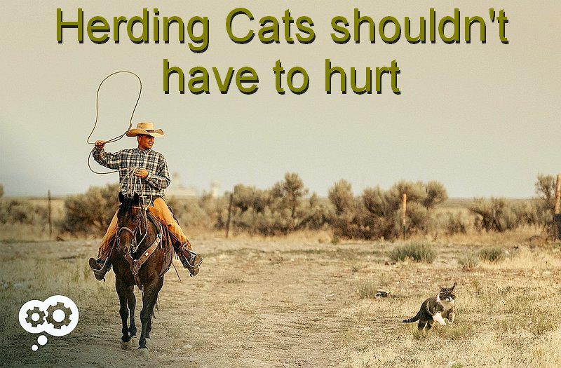 blog-herding_cats.jpg
