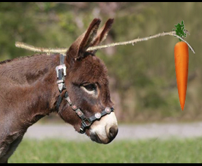 carrot.PNG