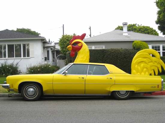 chicken car.jpg