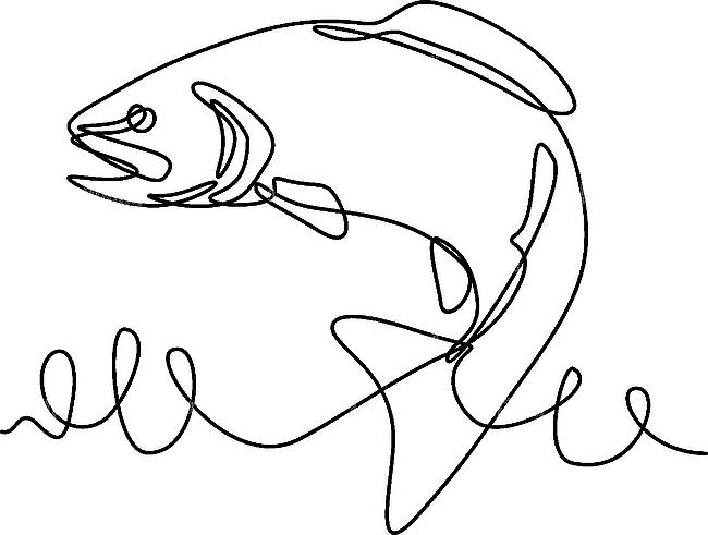 continuous-line-drawing-illustration-of-a-rainbow-trout.jpg