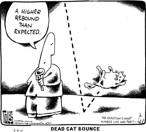 DEAD-CAT-BOUNCE-44712975426.jpeg