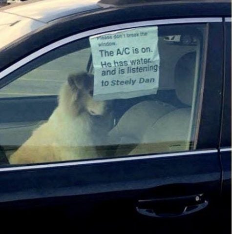 dog-in-car-sign-picture-475x480.jpg