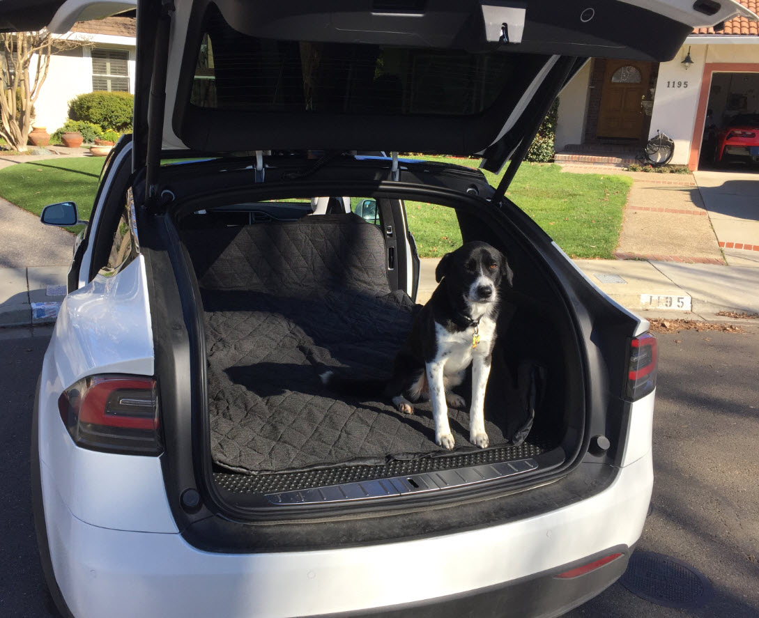 pistool Koe werkwoord Dog in my Model X | Tesla Motors Club
