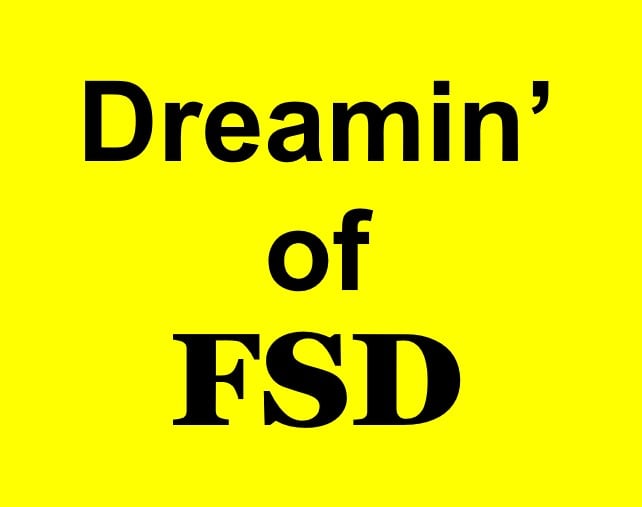 Dreamin of FSD.jpg