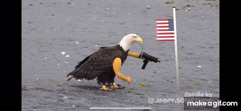 eagle salute.gif