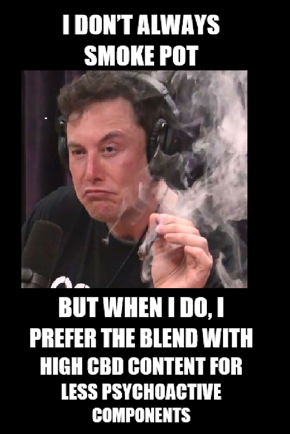 Elon1.png