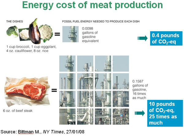 Energy-cost-of-meat-product.jpg