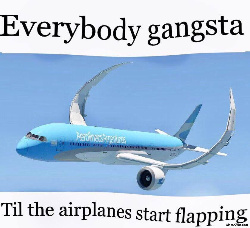 Everybody-gangsta-Till-in-the-airplanes-start-flapping-meme-3149.jpg