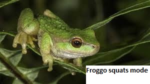 frogsquats.jpg