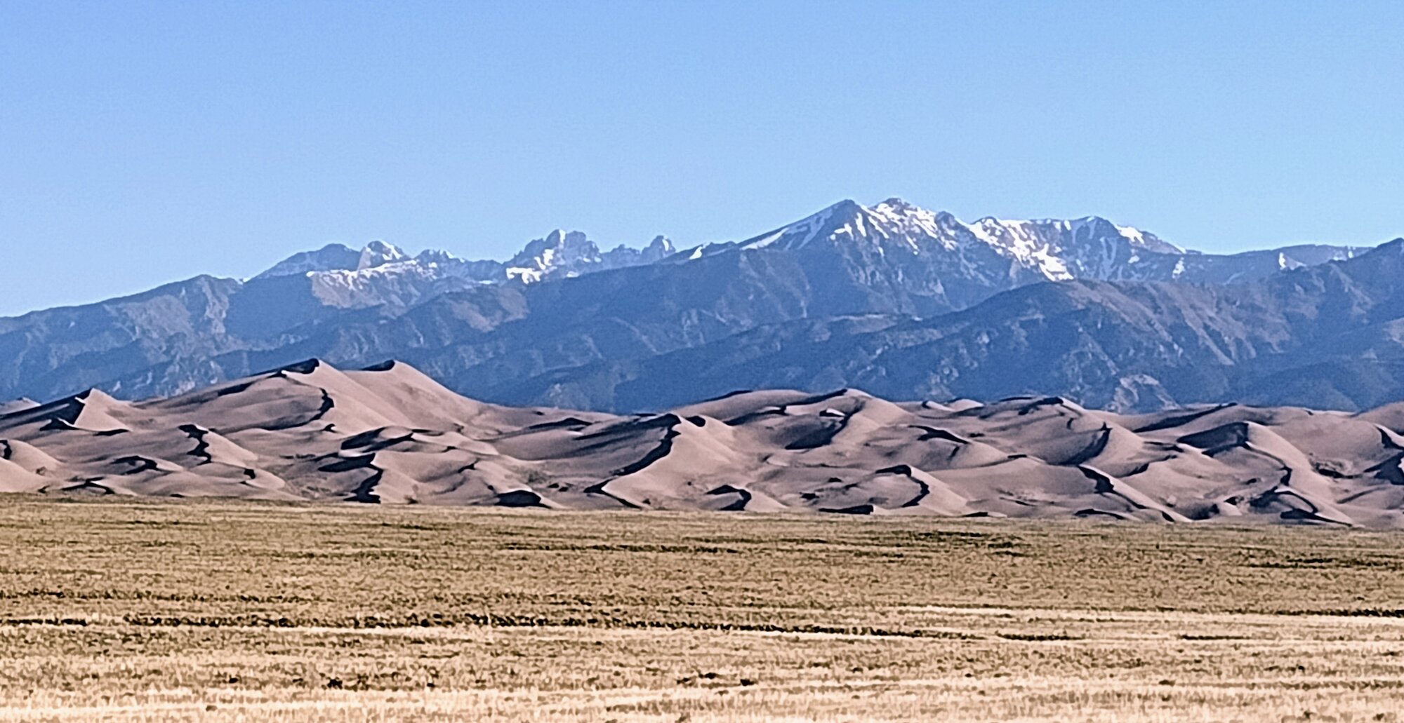 Great Sand Dunes with mountains behind20230526_072319762.jpg