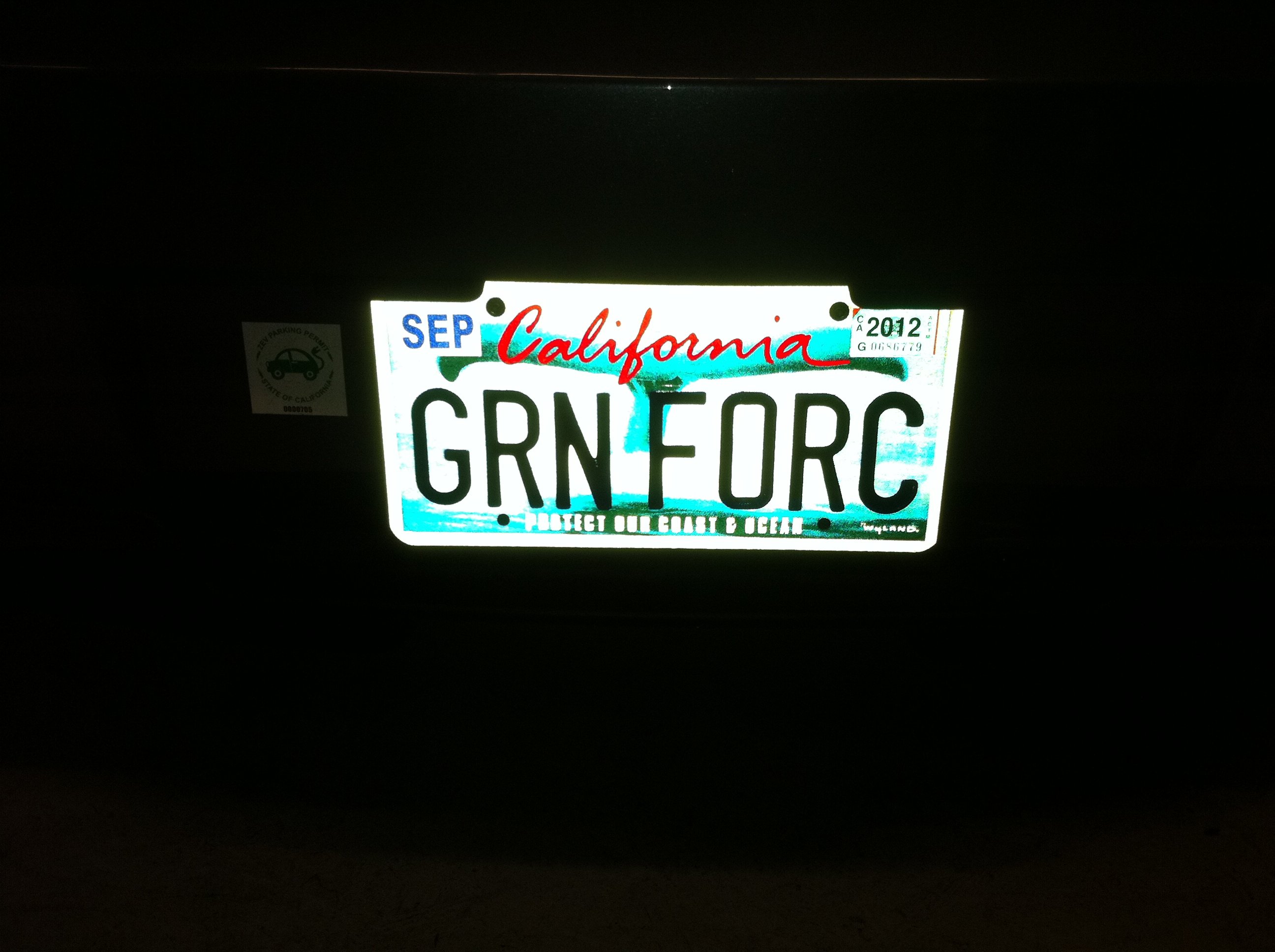 grn_forc.JPG
