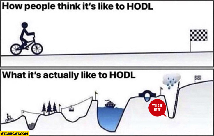 how-people-think-its-like-to-hodl-vs-whats-its-actually-like-to-hodl-stock-hold.jpg