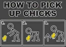 HOW TO PICK UP CHICKS.jpg