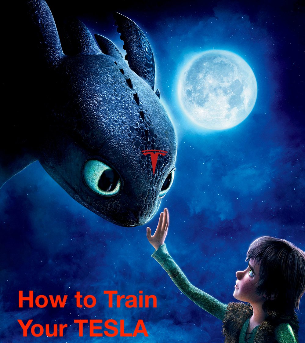 how-to-train-your-dragon-52e51b103a03e.jpg
