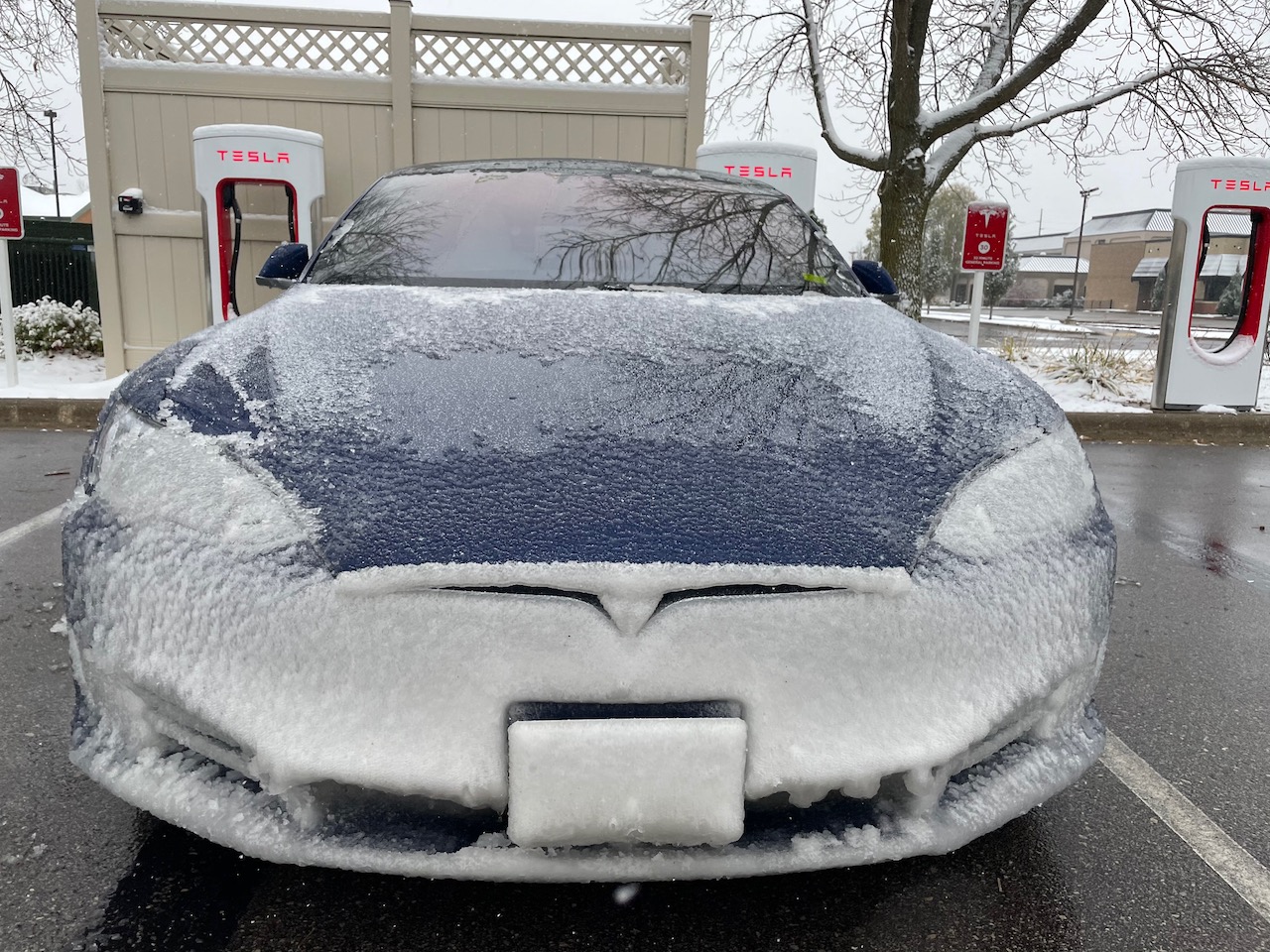 Ice Mask Tesla Front IMG_5005.jpeg