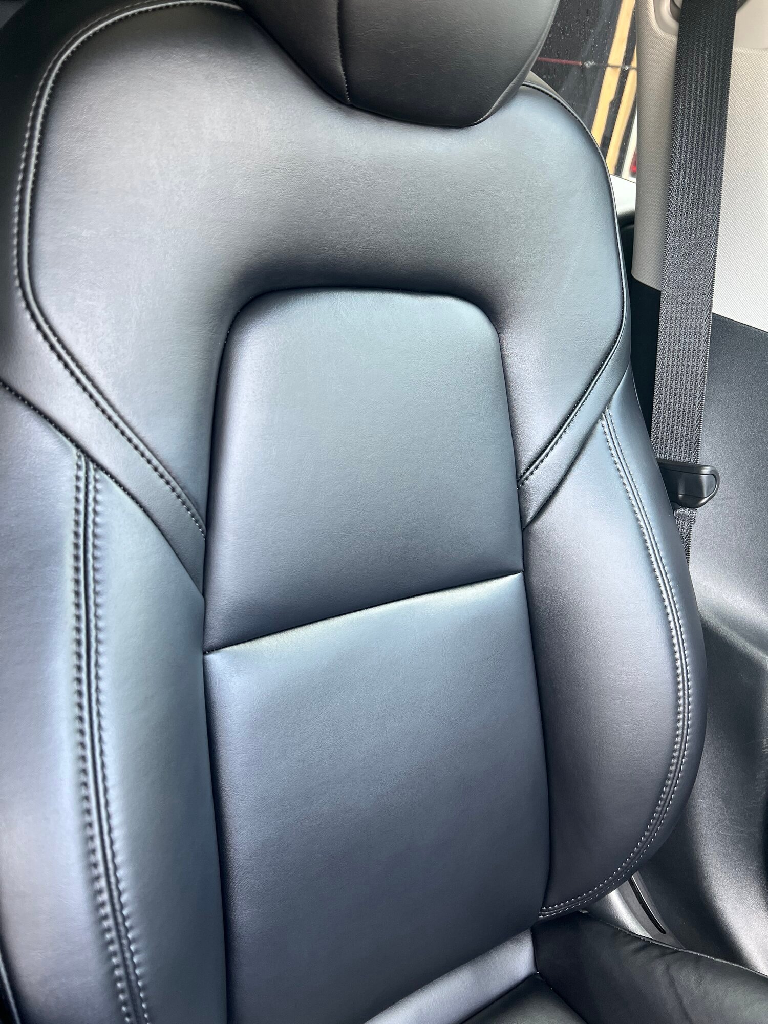 Car INTERIOR Cleaning Professional TREATMENT Leather Seats and Plastics of  your Tesla