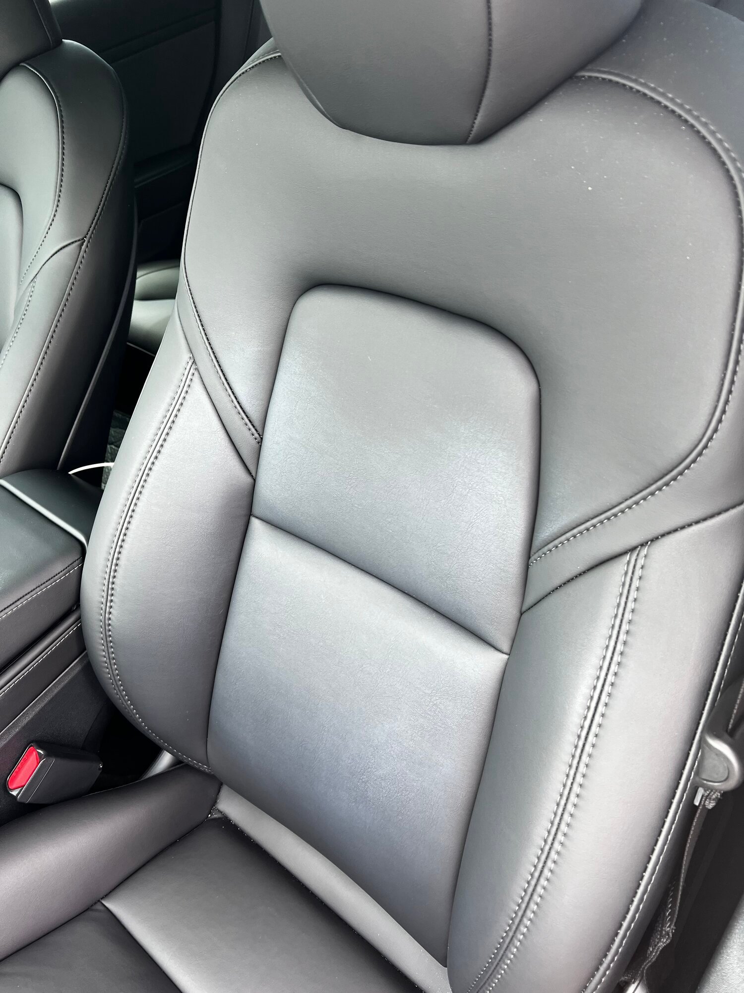 Leather Brush on Seats : r/TeslaModel3