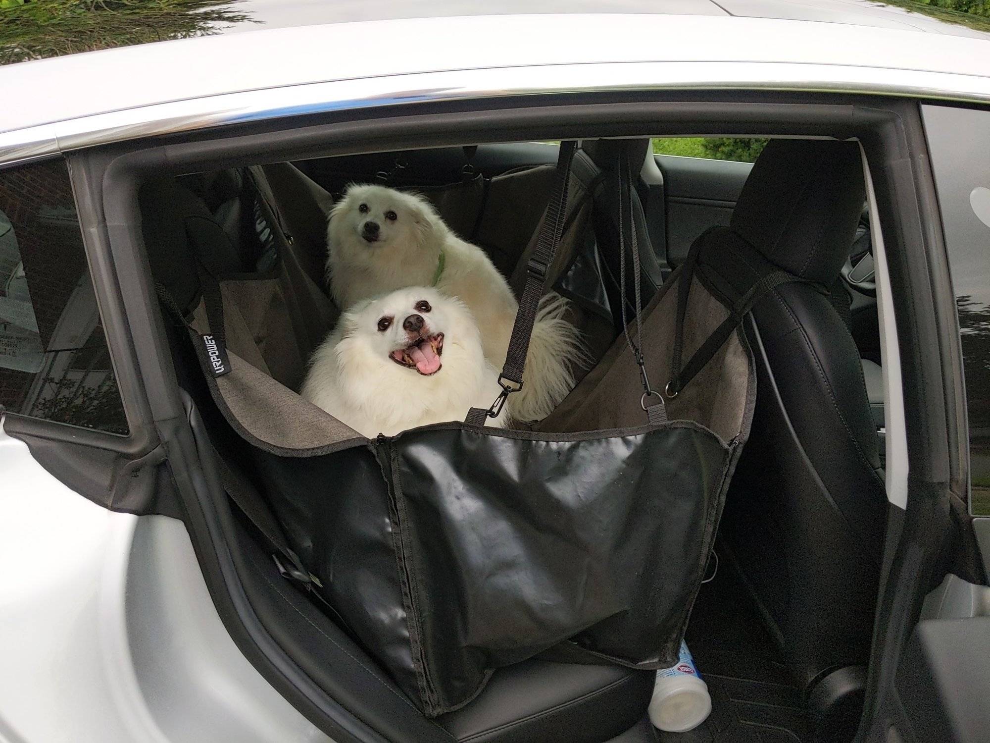 Back seat cover for dogs in Model 3? | Tesla Motors Club