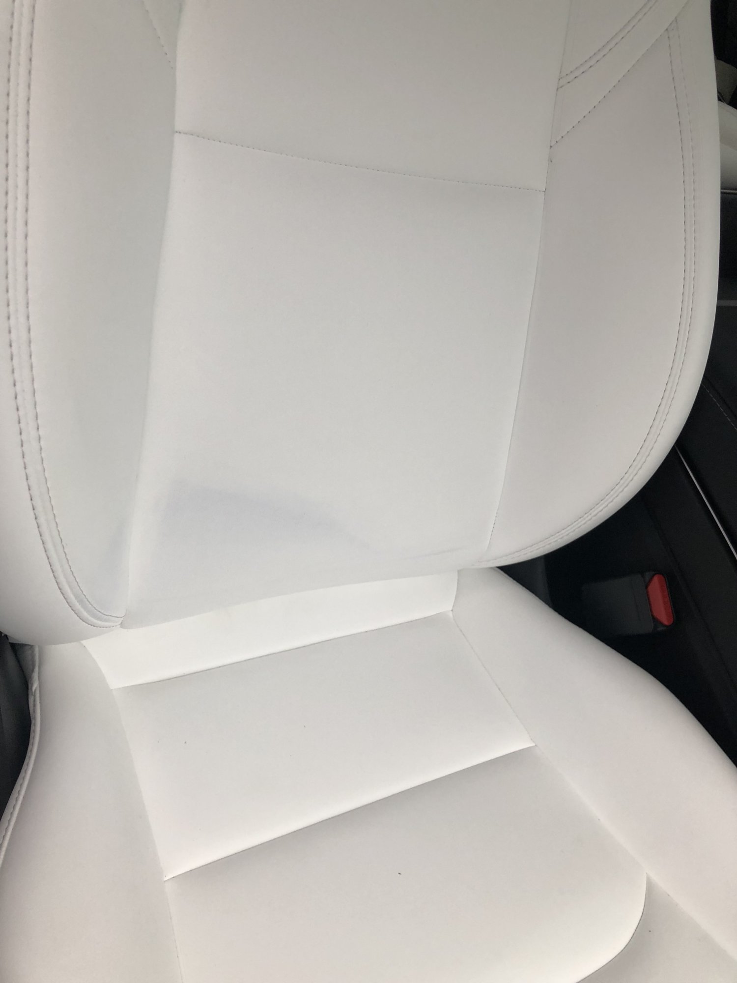 Stain on my ultra white seat! | Tesla Motors Club