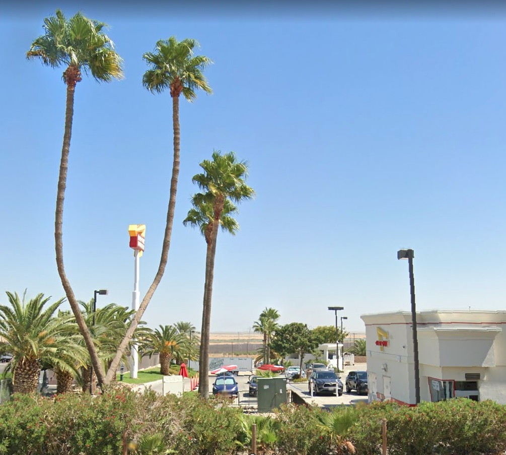 In Out - Cross Palm Tree - Kettleman City, CA  .jpeg