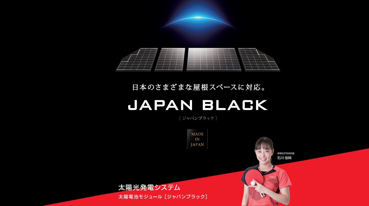 Japan Black Solar.jpg