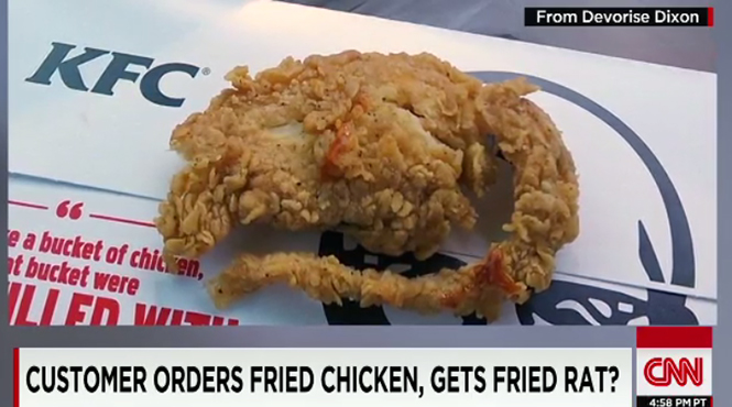 KFC-fried-rat.jpg