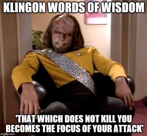 Klingon Wisdom.jpeg