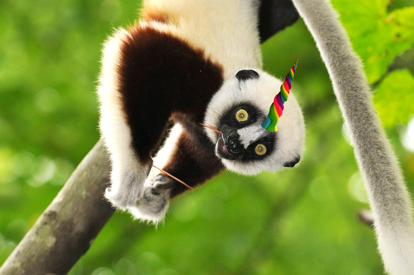 lemur_unicorn.jpg