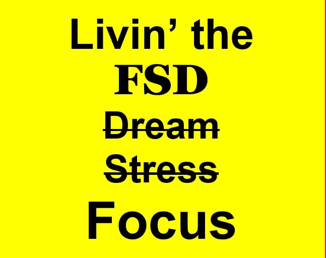 Livin the FSD Dream Stress Focus.jpg