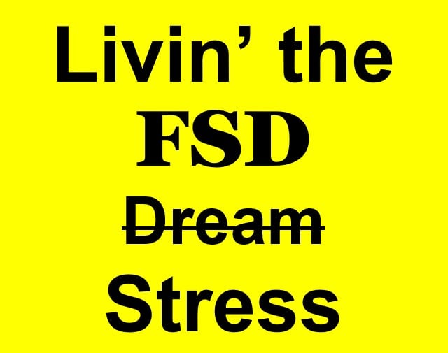Livin the FSD Dream Stress.jpg