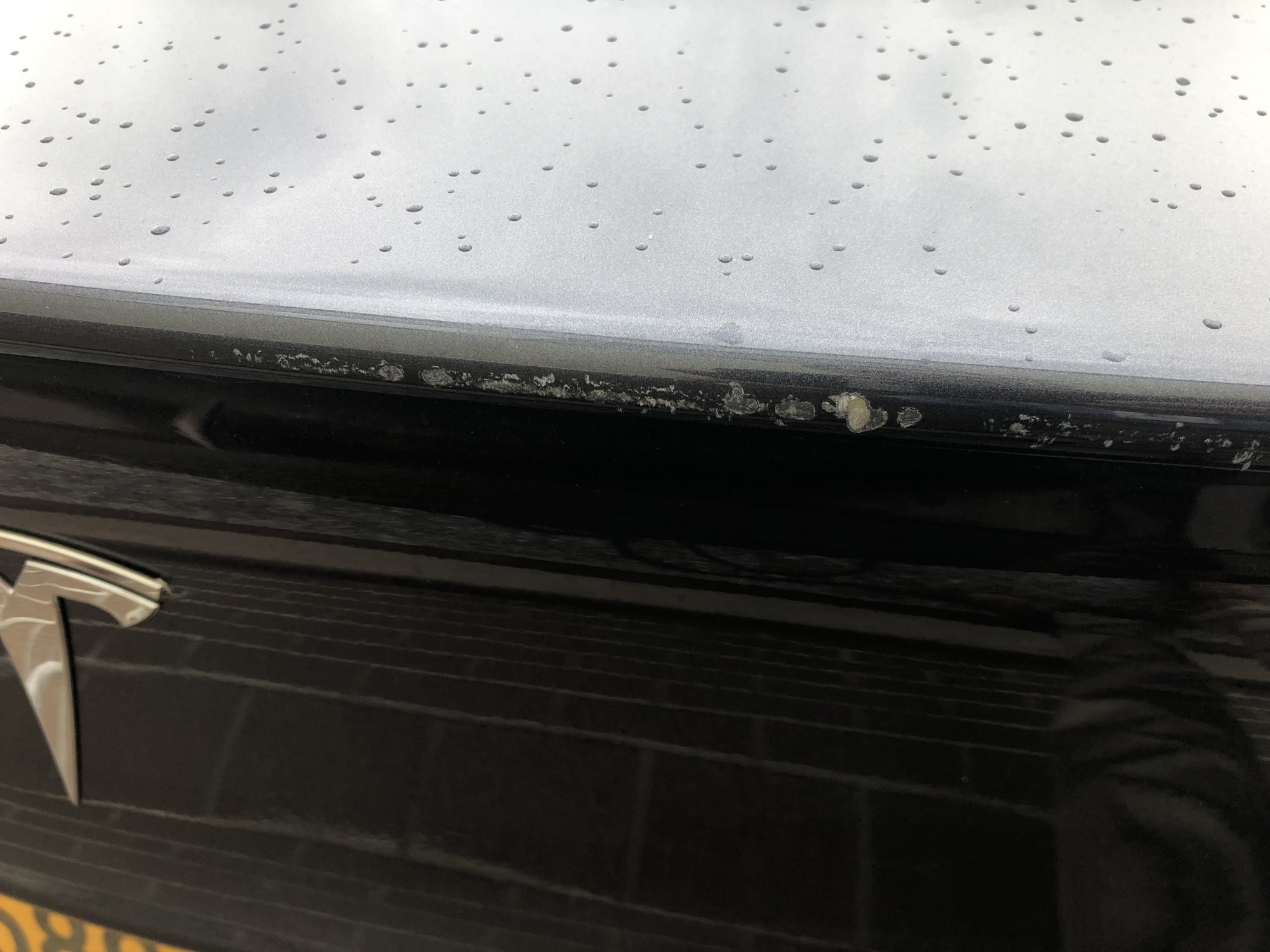 M3 upper trunk edge damage.jpg