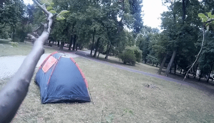 made in a tent.gif