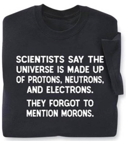 Morons T-Shirt.png