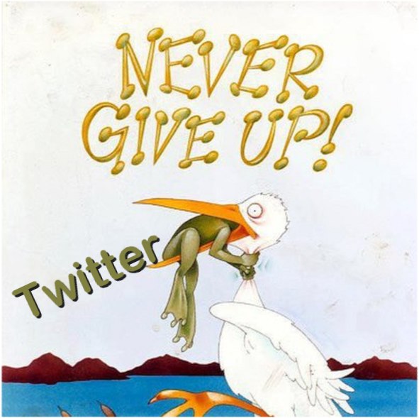 Never Give Up Twitter.jpg