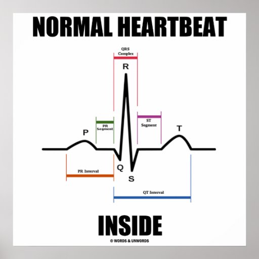 normal_heartbeat_inside_ecg_ekg_electrocardiogram_poster-r7259613403014b57a08a4e0feb23c2e4_w2q...jpg