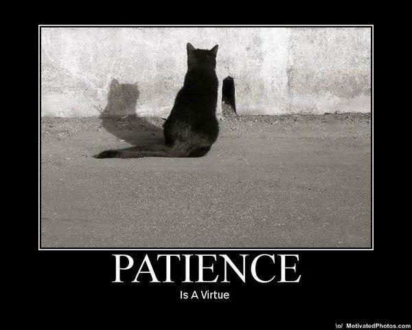 Patience is a virtue.jpg