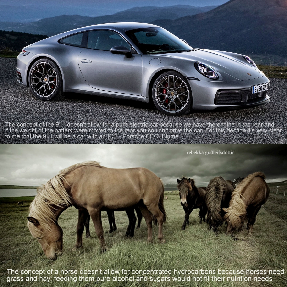 Porsche.Horses.jpg